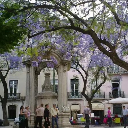 Daire Condessa Vintage Chiado